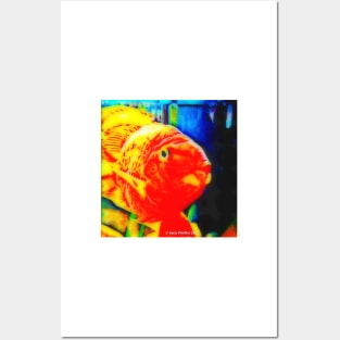 Pop Art Love Fish Posters and Art